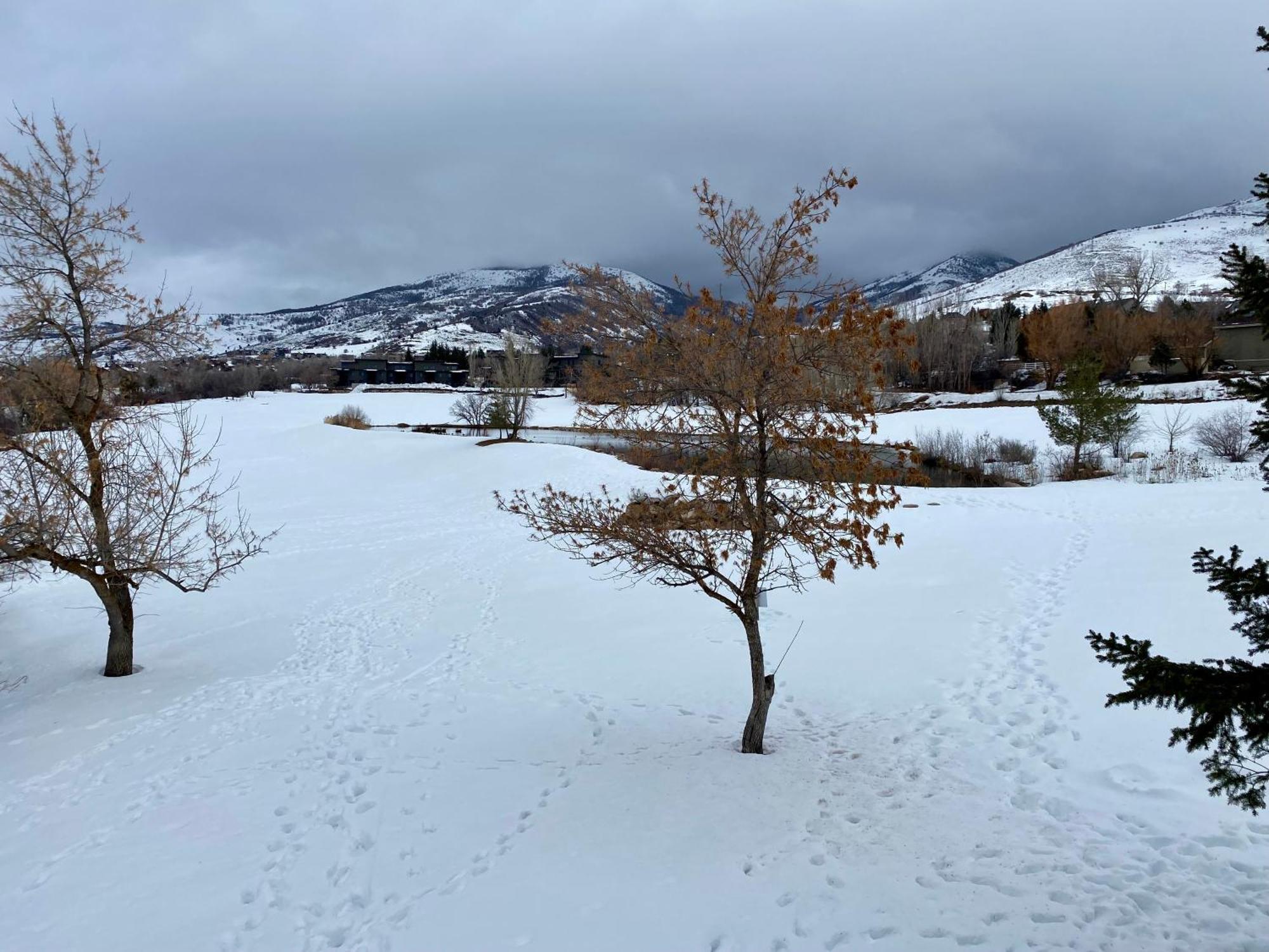 Wolf Creek Lodge Condo In Eden, Ut - Relaxing Mountain Retreat Exterior foto